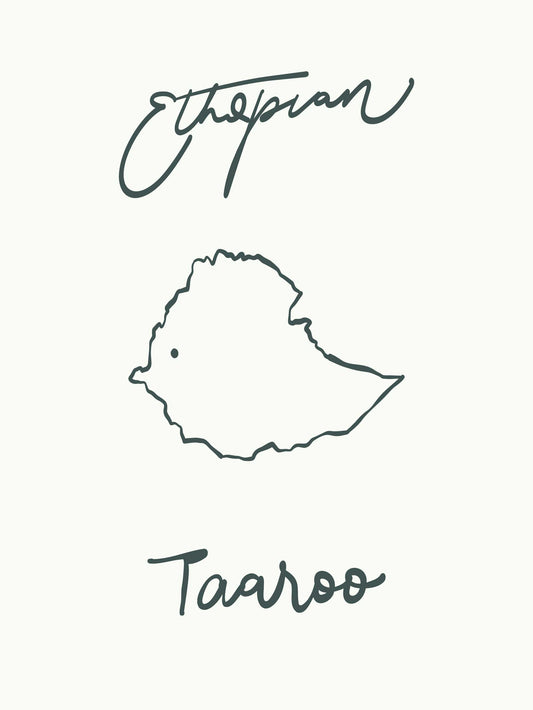 Ethiopian Taaroo (Pre-Order)