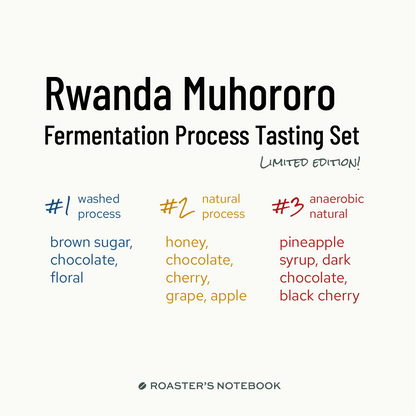 Limited Edition: Rwanda Fermentation Process Tasting Set